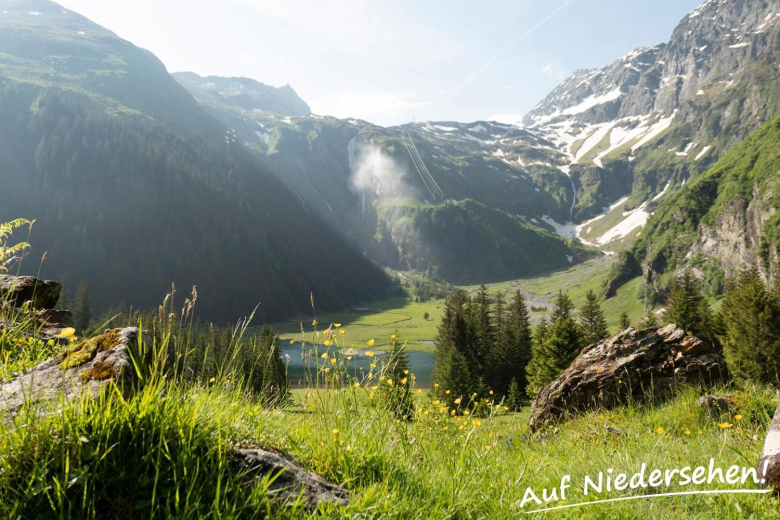 Ferienwohnung Auf Niedersehen - 8 Personen - Kitzbuehler Alpen - Hoehe Tauern Np Hollersbach im Pinzgau Eksteriør billede